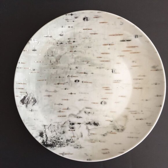 Pottery Barn Organic Birch Salad Plates (4 ) discontinued 8 1/4" Modern Woodland - Picture 1 of 5